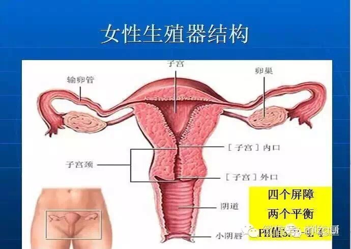 宫腔垃圾多是什么原因,宫腔垃圾毒素怎么来的
