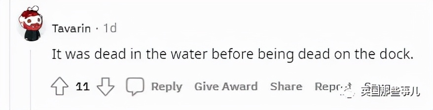 鲨鱼身体，猪猪的脸？意大利船员，打捞到了一只猪脸鲨鱼...