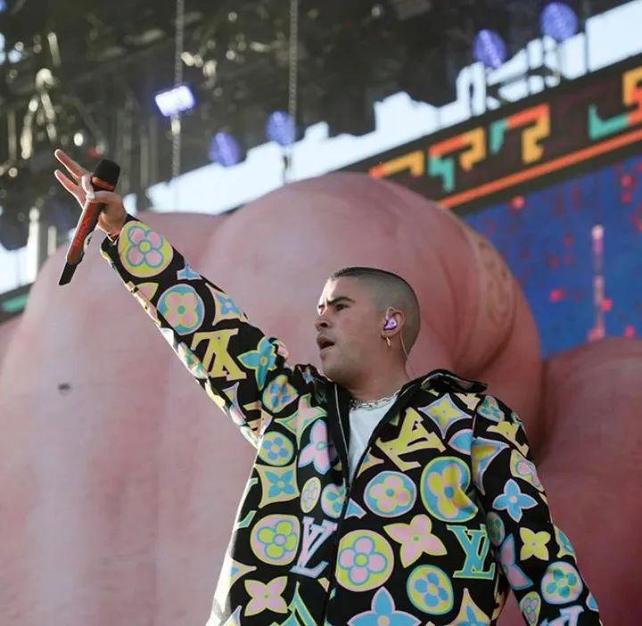 碧梨是什么牌子,碧梨是假货吗