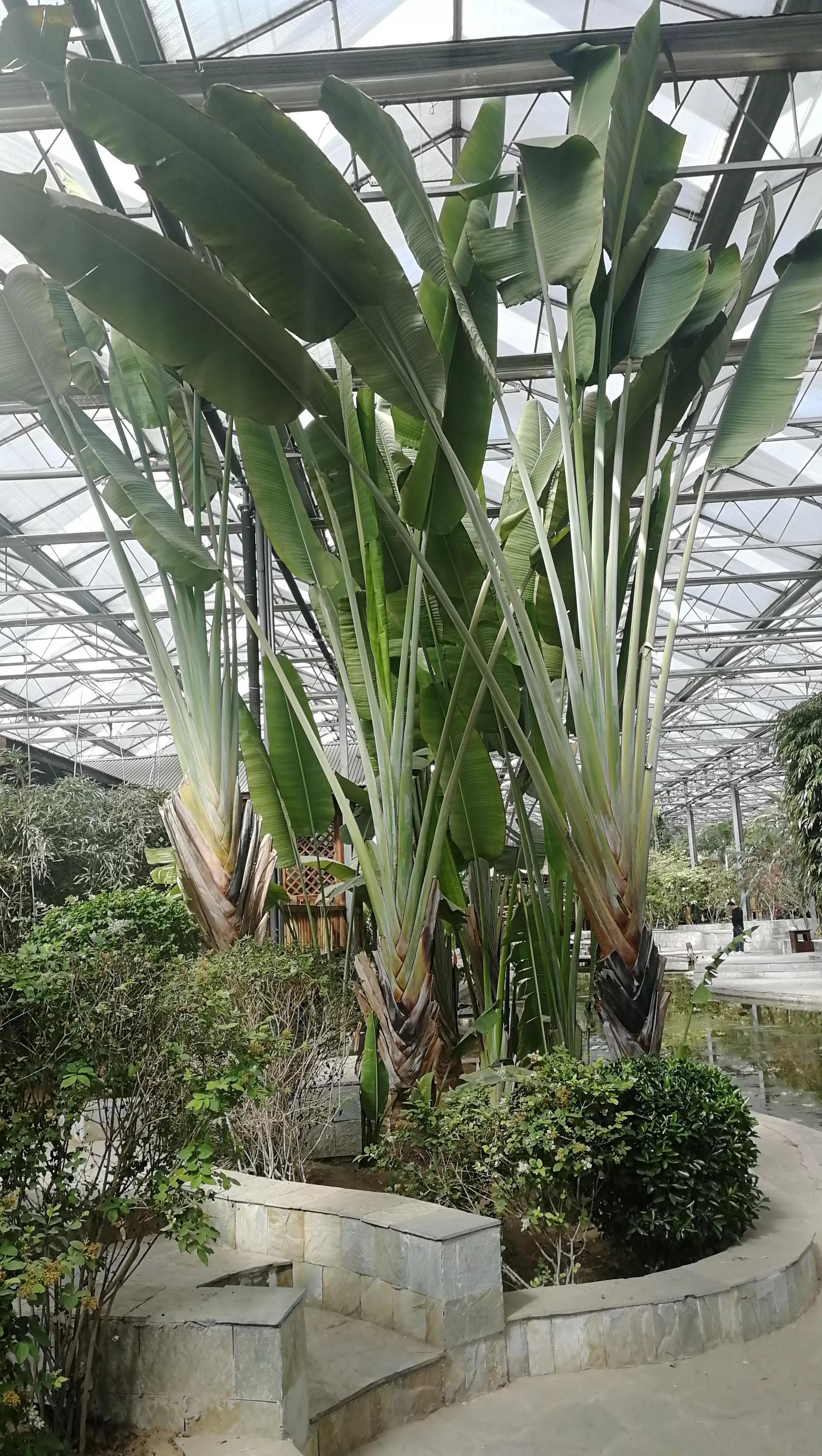 九天休闲谷现在去热吗,九天休闲谷完整版