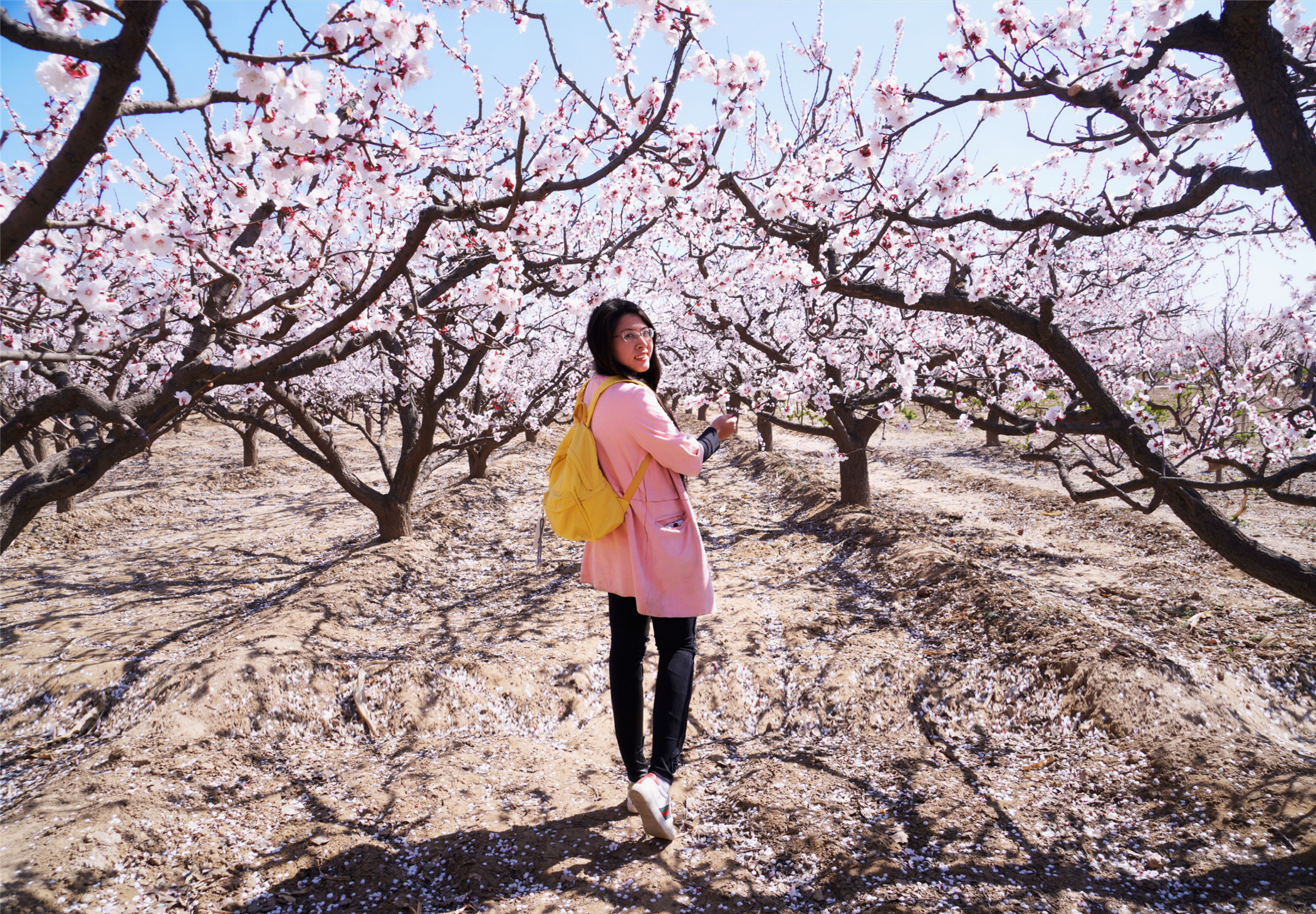 河北这座文旅小城值得一去,河北的一座小县城