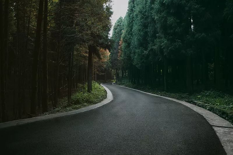 6种常用的构图法,掌握7种构图技巧