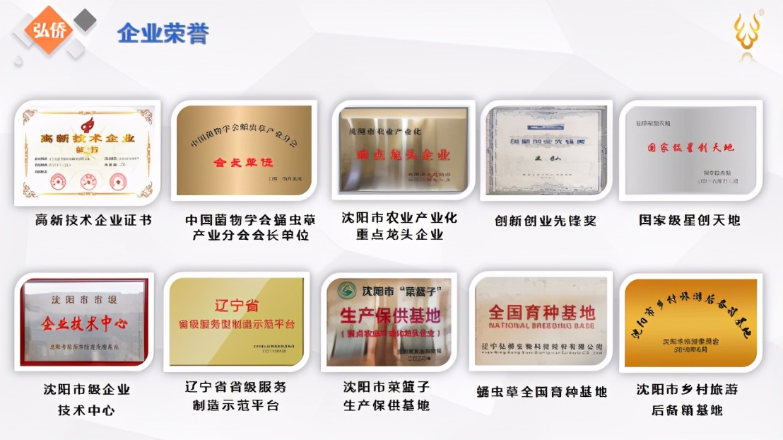 一心让“沈阳虫草”成为创富地标—辽宁弘侨生物科技董事长王弘