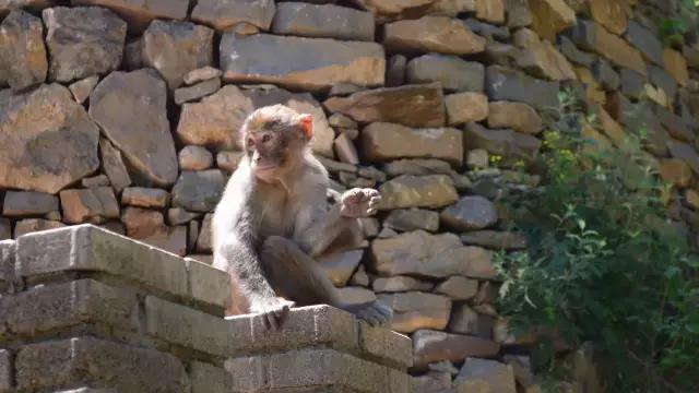 长治通天峡旅游线路,长治旅游集散中心旅游线路