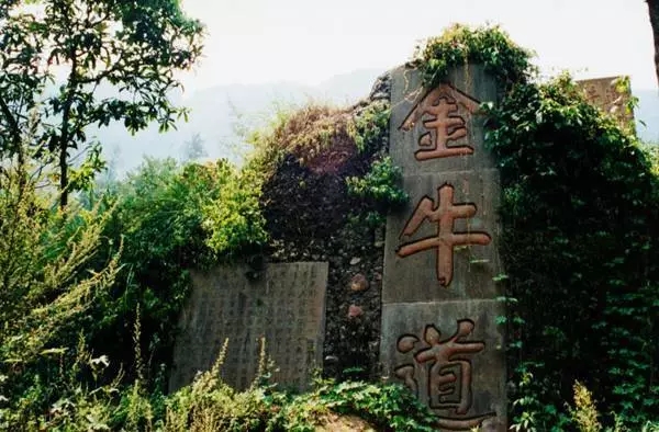 天蚨园之司马错——他是大战略家，给了秦国一统天下的本钱