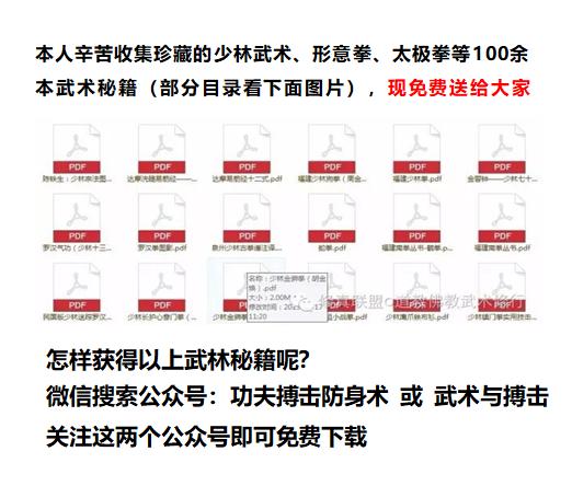 少林戳脚技击视频,戳脚技击二十式