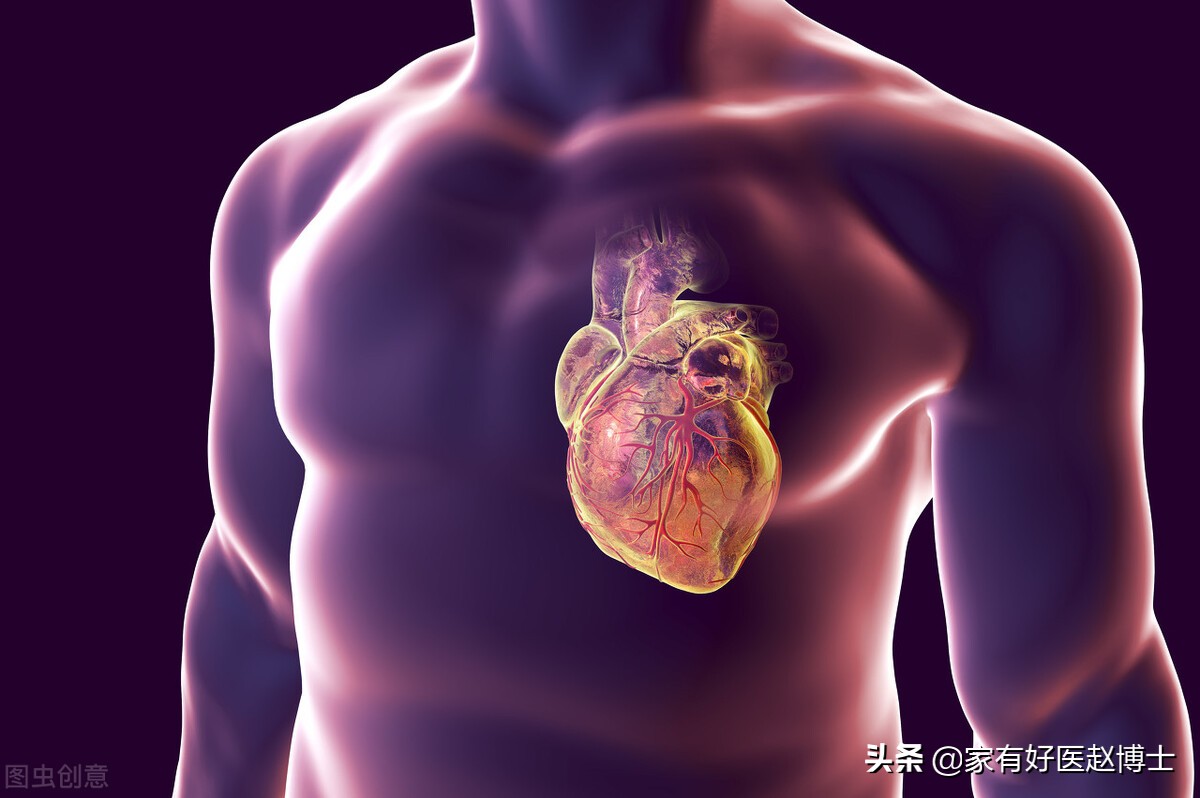 心跳越快,寿命越短?“理想的心率”应该具有哪些特征?