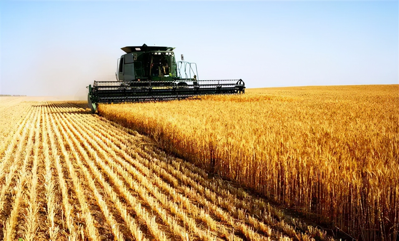 河南人要自信是什么梗,河南人要自强