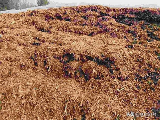 青储玉米秸秆废水处理,玉米秸秆发霉了怎么处理