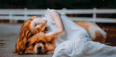 20款adobe逆天插件,adobe全套设计软件