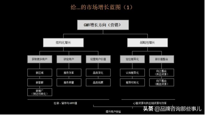 王赛：数字时代的企业市场增长——营销战略的再设计「含PPT」