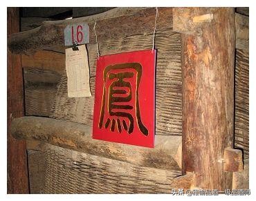 茅台五粮液汾酒西凤,盲评白酒专家