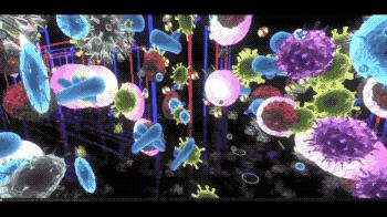 快速去除家中宠物臭味,下水道反味除臭杀菌