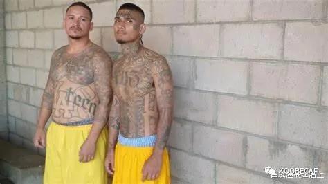 美国拉丁裔帮派,美国白人帮派落寞