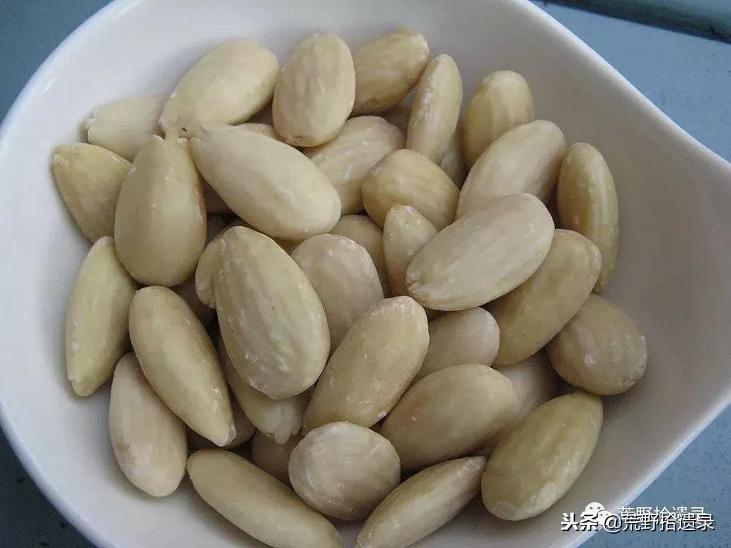 新疆巴旦木历史,巴旦木的前世今生