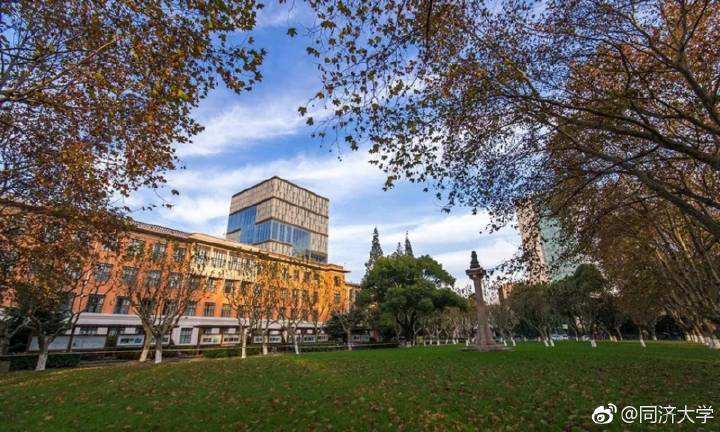 预估帖：同济大学2020年会计专硕（MPAcc）考研分数与报录比