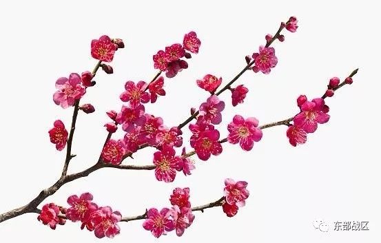 一封催人泪下的家书手写,一封家书感人完整版