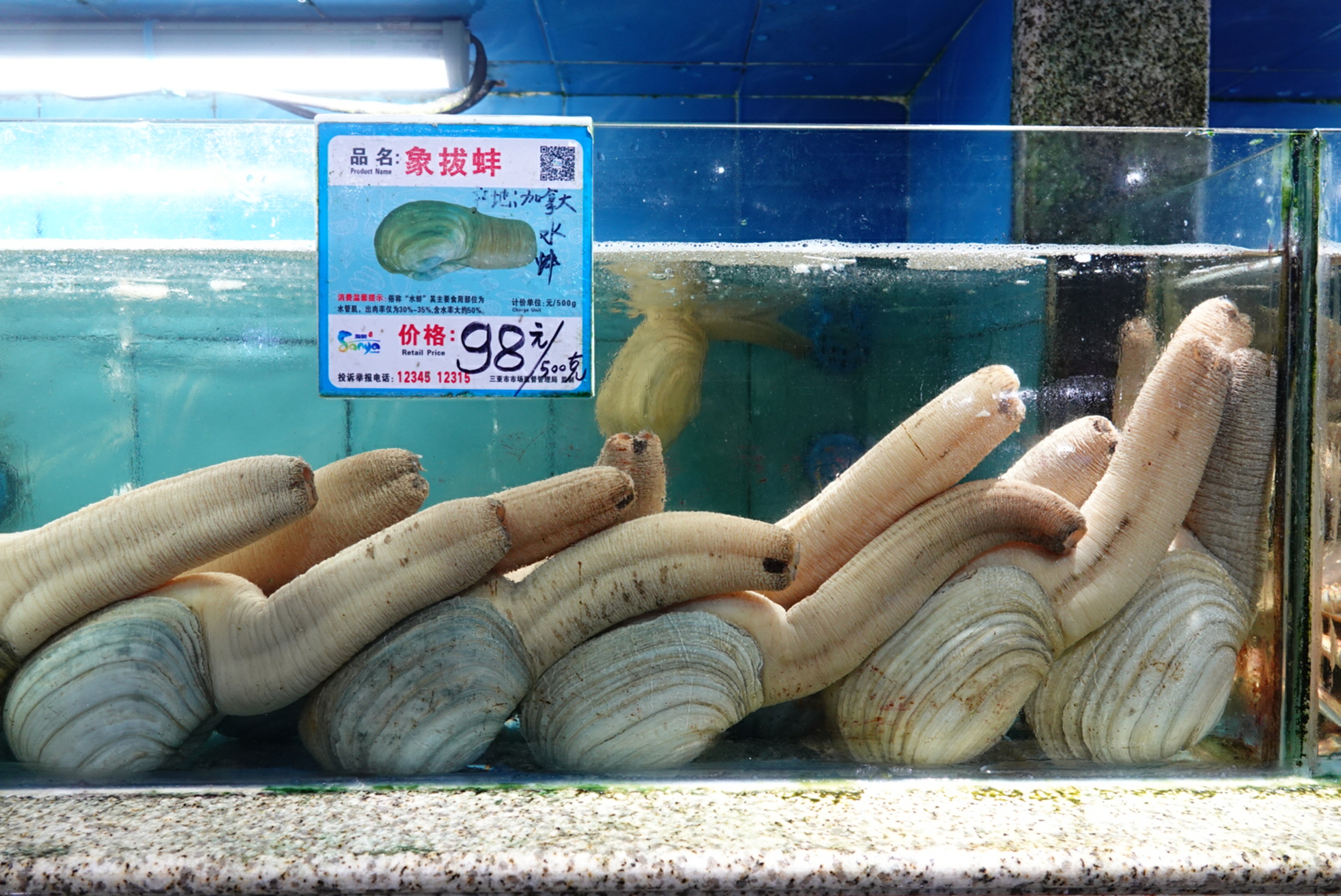 三亚海棠湾亚特兰蒂斯,三亚海棠湾和泓海棠府