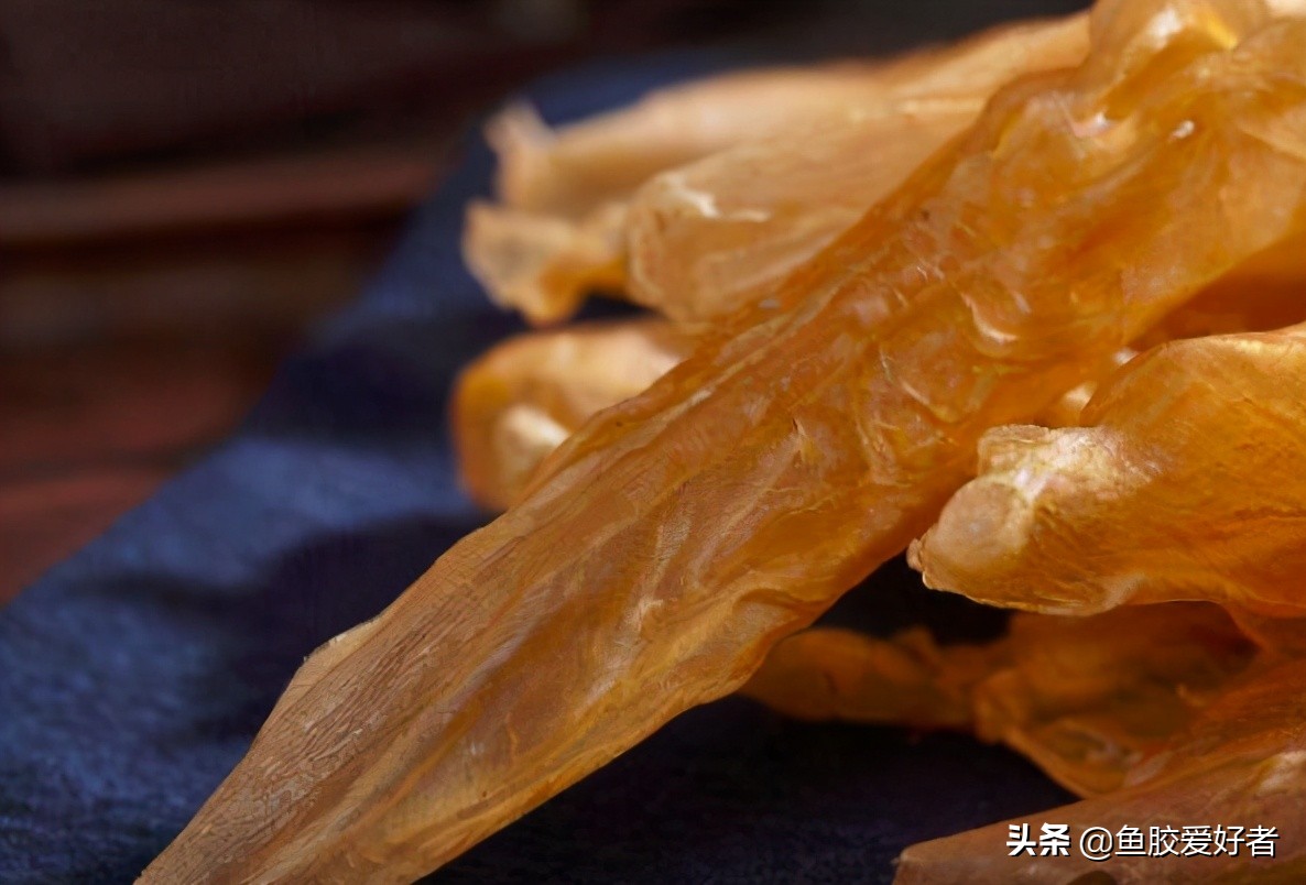 鱼胶选买什么样的好,如何挑选鱼胶让人觉得你是内行