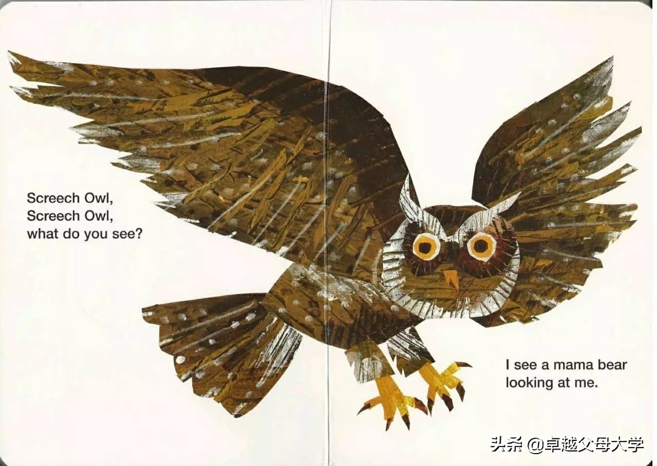 babybear英文绘本,babybearwhatdoyousee绘本