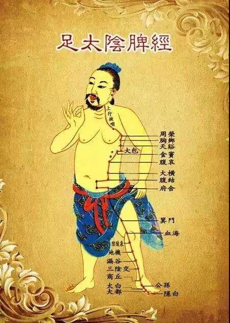 经络腧穴学的穴位主治记忆技巧,经络穴位在治疗过程的记忆和运用