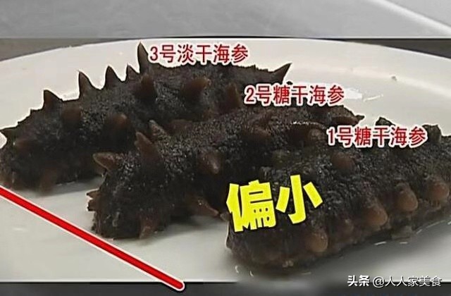 海参行业内幕,新鲜海参内幕深度揭秘