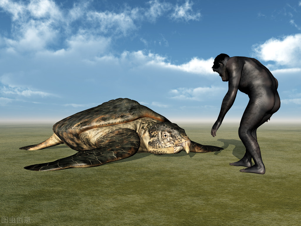 祖先全身毛发，人类进化得却只有阴毛、头发等，原因何在？