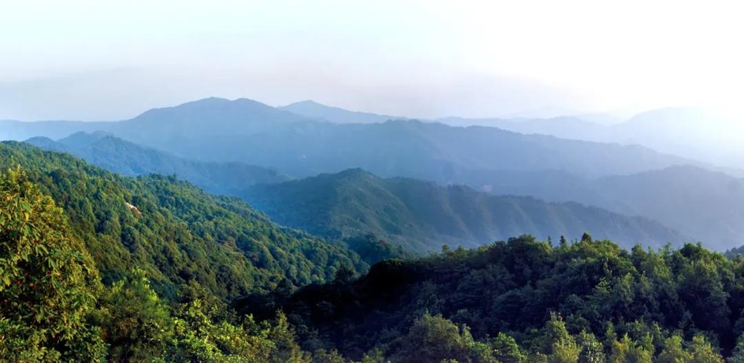 封开县黑石顶原始森林保护区,广东封开黑石顶北回归线上的绿洲