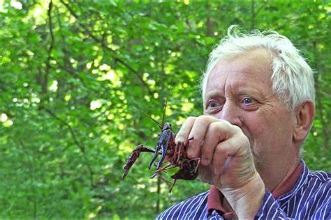 瓷器比景德镇更美?小龙虾泛滥没人吃?爱喝酒又不限速的梦幻国