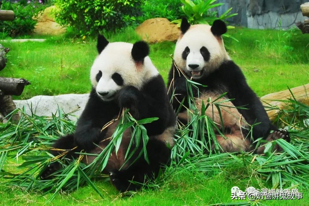 深圳生日当天有什么福利,深圳2019生日福利攻略