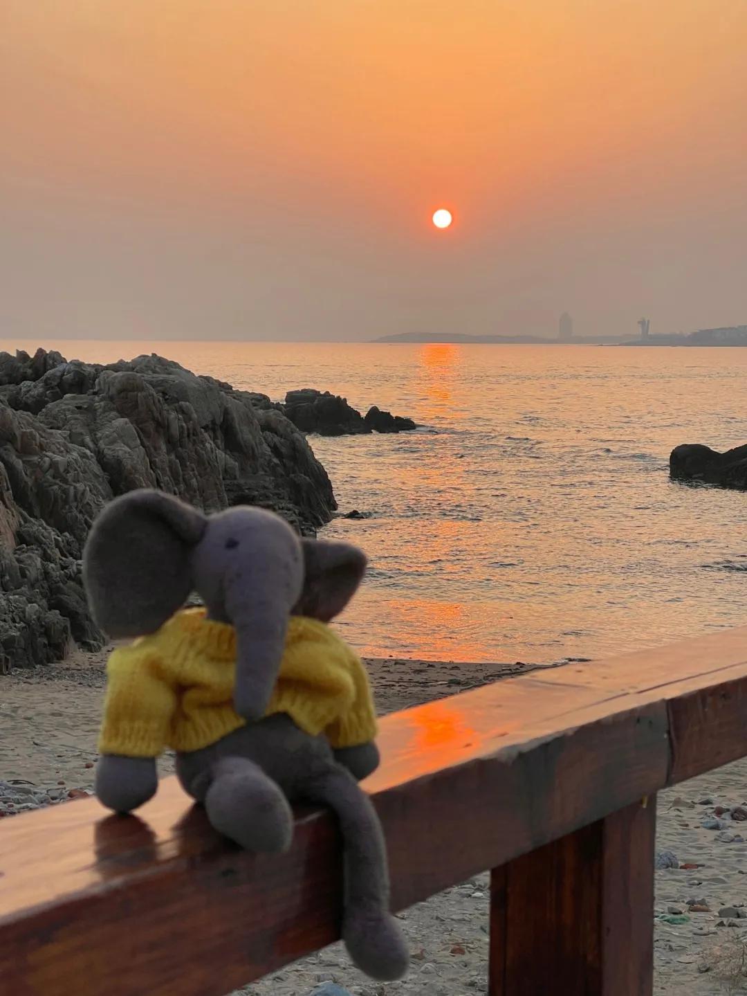 jellycat最好看的一款兔子,jellycat怎么养