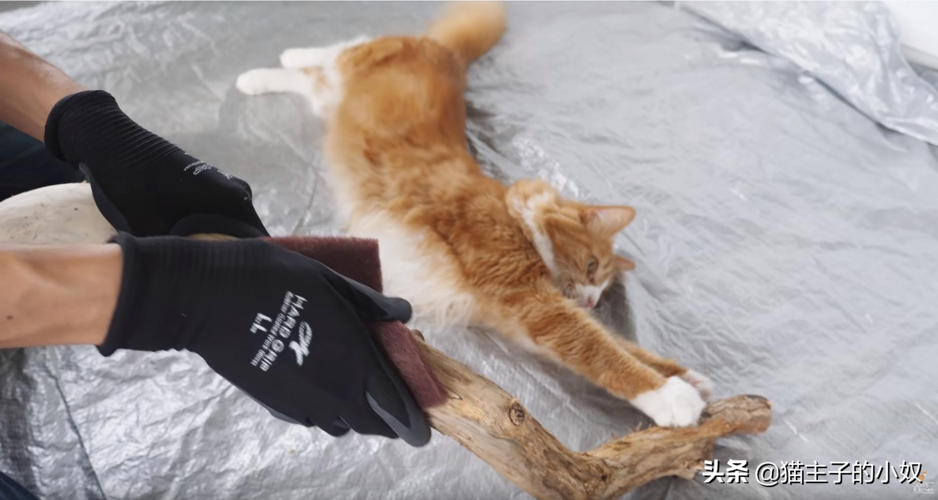 diy猫爬架大约需要什么材料,diy猫爬架材料清单