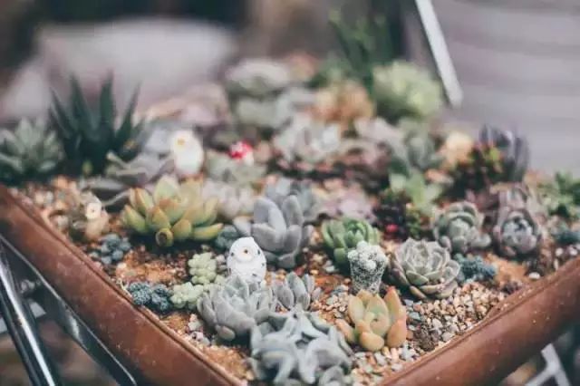 10000块能做点什么,10000块钱能做什么