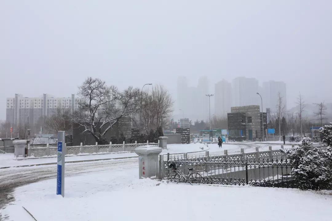 大连海事大学和辽宁省哪个级别高,大连海事大学辽宁省大学排名