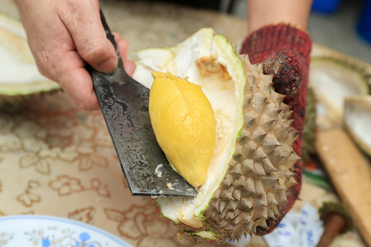 马来西亚新山旅游攻略自由行,马来西亚马六甲旅游景点攻略