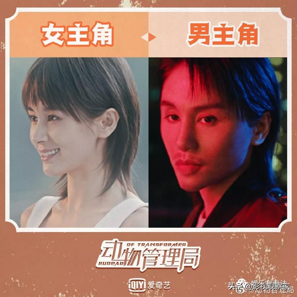 动物管理局第二季免费观看完整版,动物管理局完整版1-24集免费