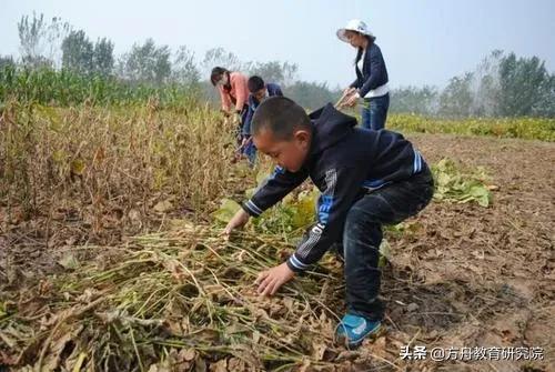 疫情下孩子学什么,疫情下孩子学习攻略