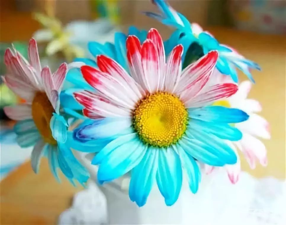 科学实验好奇心,科学入门小实验