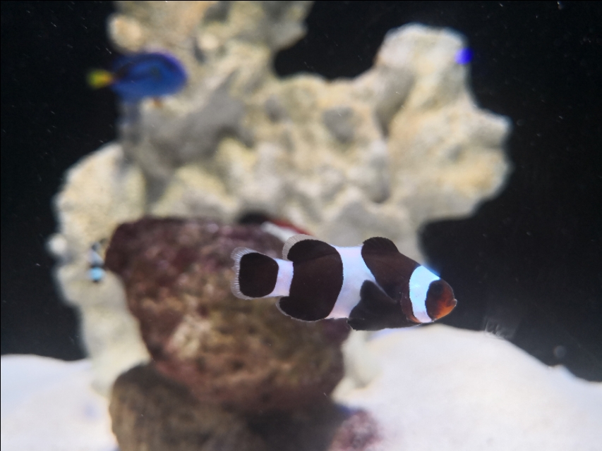 北京工体富国海底世界周一营业,北京工体富国海底世界旅馆