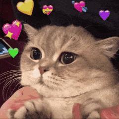 广州排名第一寿司,一口寿司广州