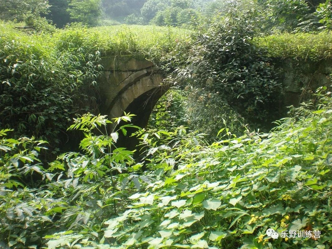 「乐野求生课」6月22重庆游龙山徒步越野报名