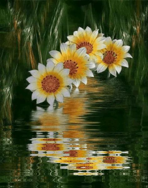 这是我见过最美的风景吗,这是我见过的最美的风景英语