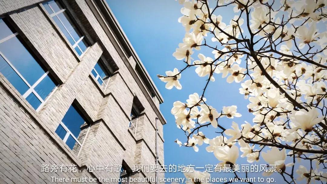 辽宁省民办大学（二）大连东软信息学院