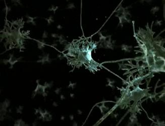 神经网络自校正控制原理,神经网络预测天气原理