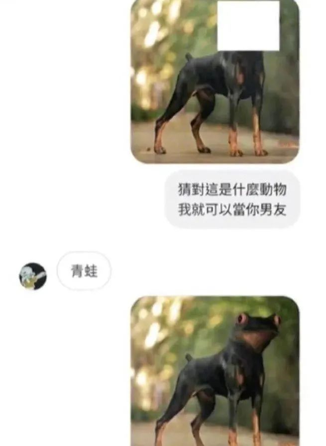 每日内涵囧图,每日囧图笑你一整天