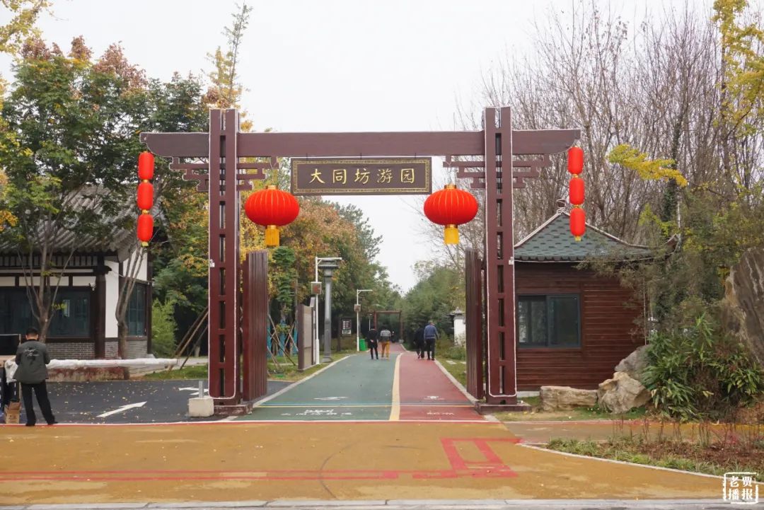 洛阳一大型网红公园免费开放,洛阳湿地公园网红打卡地