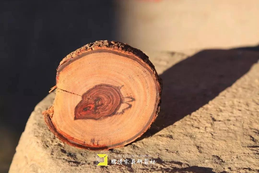 黄花梨属于降真香吗,黄花梨真的怎么样