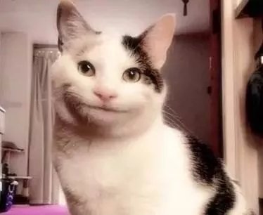 插z勾y鲜肉偶像的资源咖女星，竟乱搞染病得罪金猪？