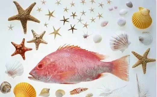 孕期补充dha对孕妇有什么好处,孕期补充dha对宝宝有什么好处