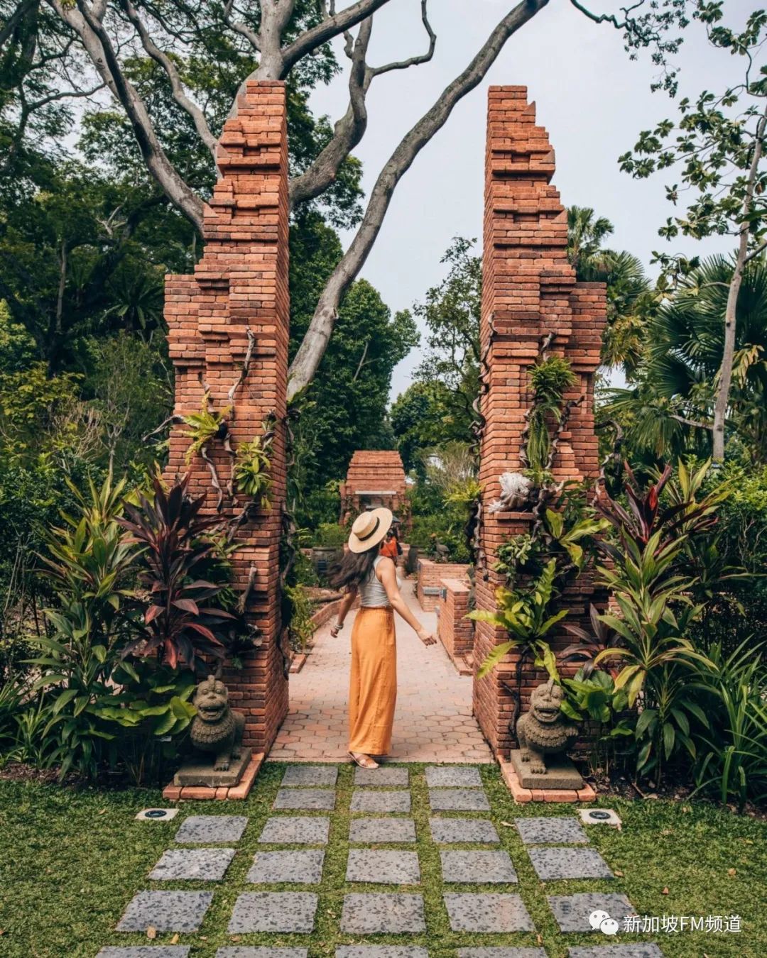 新加坡网红拍照店,新加坡网红点如何拍照